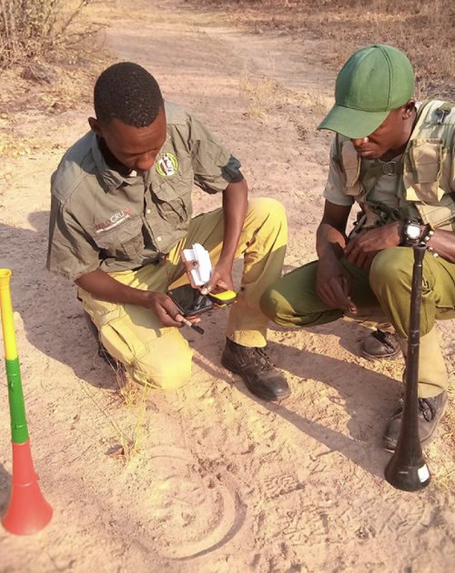 Anti-poaching team on patrol