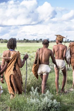 Bushmen archery in the Xudum Channel grasslands