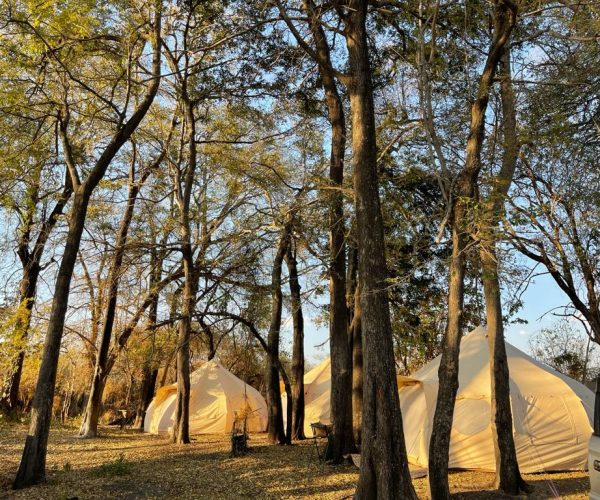 Camp site detail