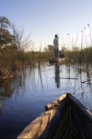 Mokoro on the Xudum Channel at first light