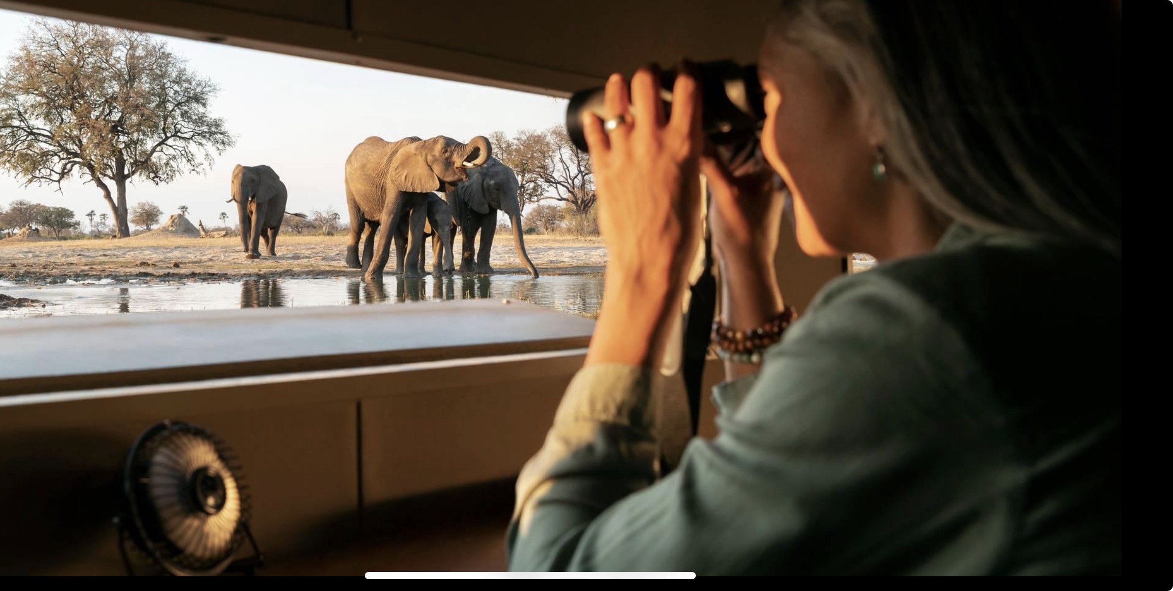 Elephant hide silhouette